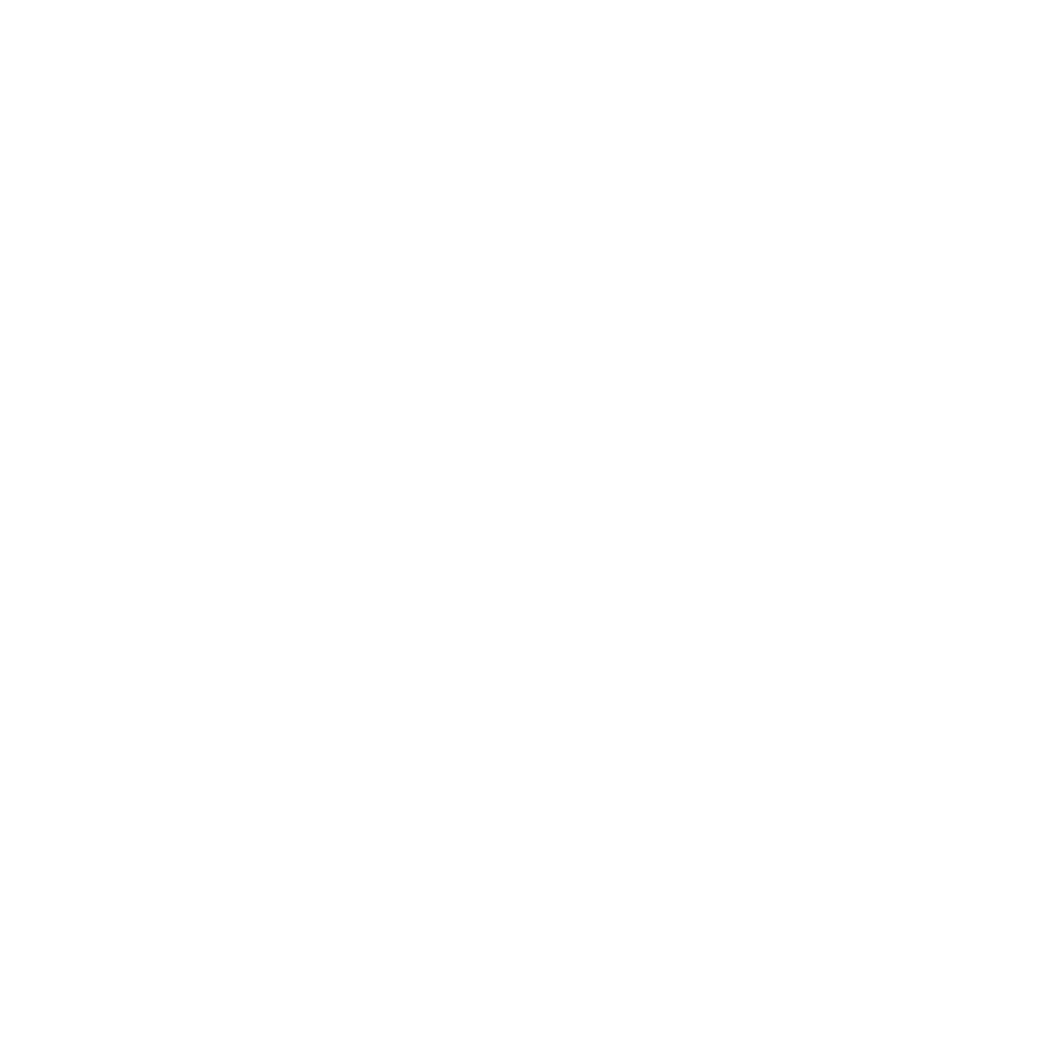 SS Motors